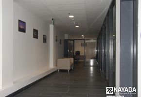 NAYADA-Standart в проекте НСК Олимпийский