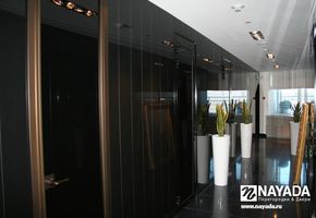NAYADA-Fireproof EIW-30 в проекте БЦ "Миллениум"